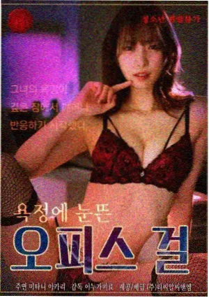 第二次搬家迷你剧海报